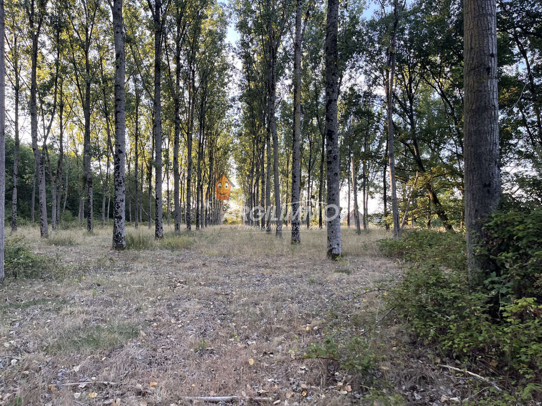 RARE pavillon sur 4h3 sortie village - photo 13