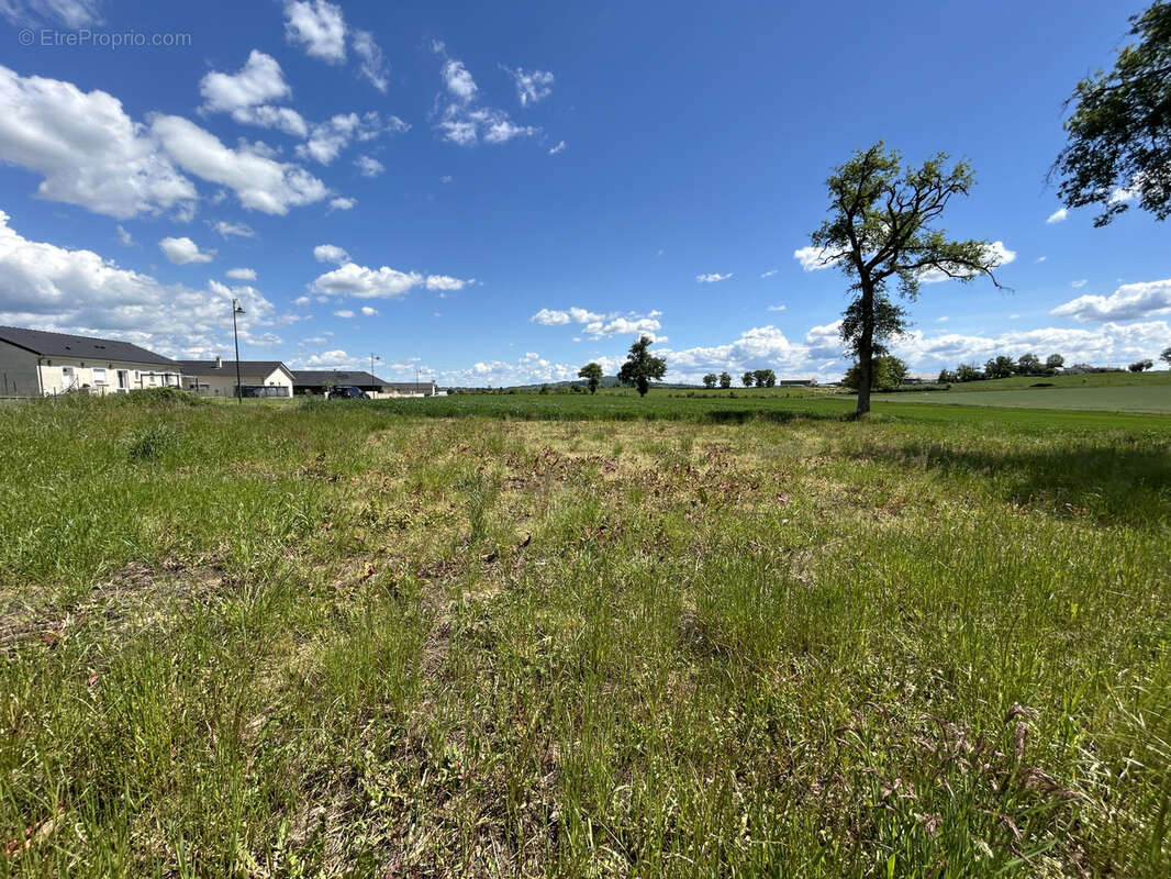 Terrain à TAURIAC-DE-NAUCELLE