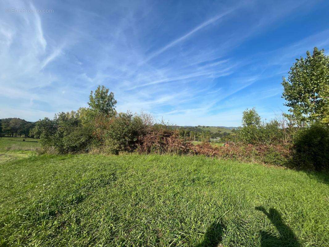 Terrain À Vendre sur la commune d'Allassac - photo 2