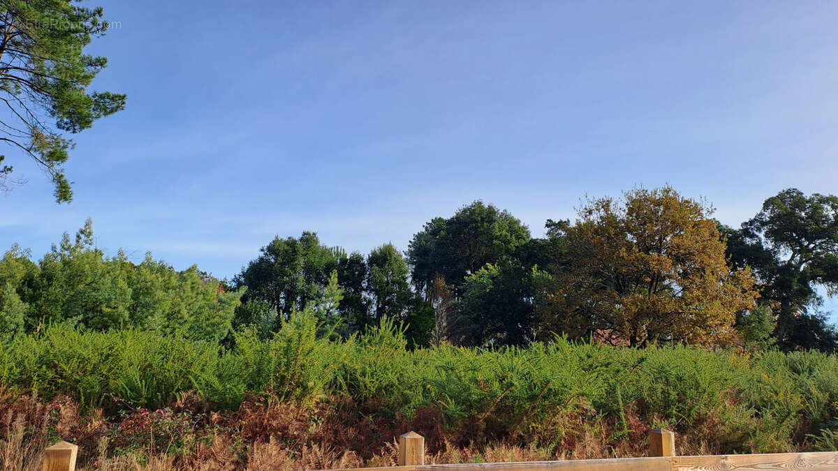 Terrain à MOLIETS-ET-MAA