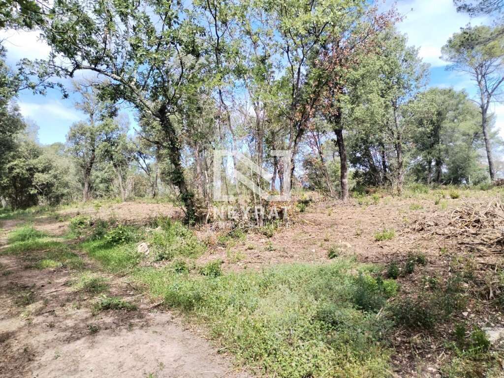 Montauroux - superbe terrain en zone naturelle   5 hectares ! - photo 7