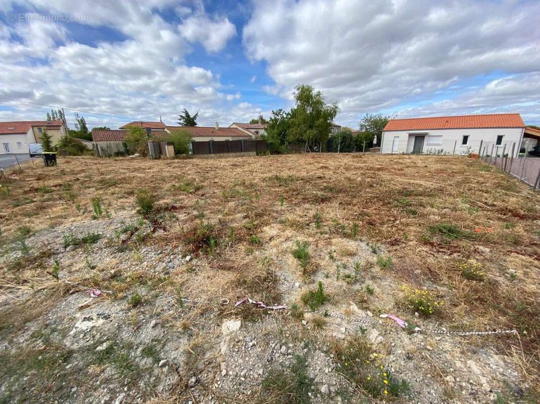 Terrain 529 m² à Getigne  - photo 3
