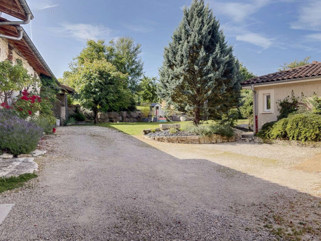 01160   Sur les hauteurs de Pont-d'Ain : Maison familiale rénovée avec dépendance de 300 m2 et garage de 70m2 - photo 5