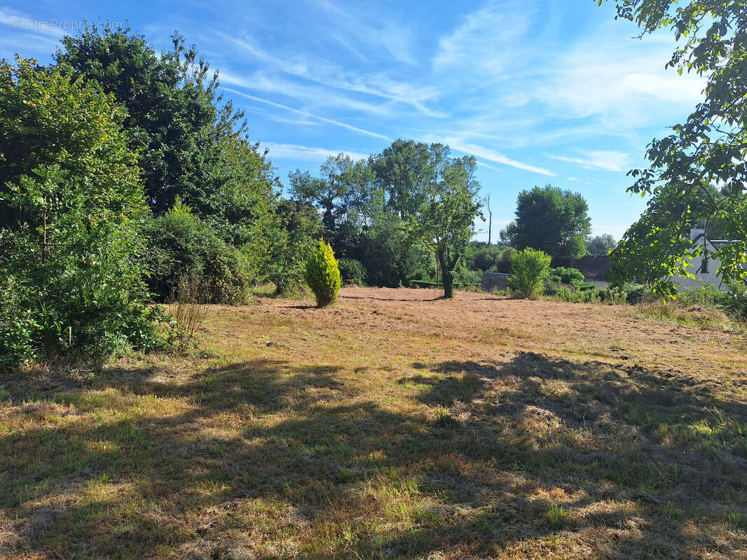 Terrain à QUETTREVILLE-SUR-SIENNE