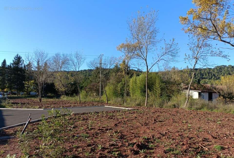 Terrain à LE LUC