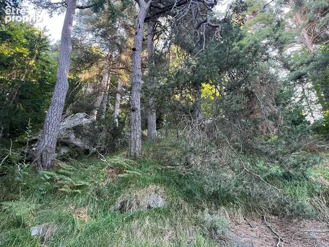 Terrain À Vendre 2.285 m² - photo 8
