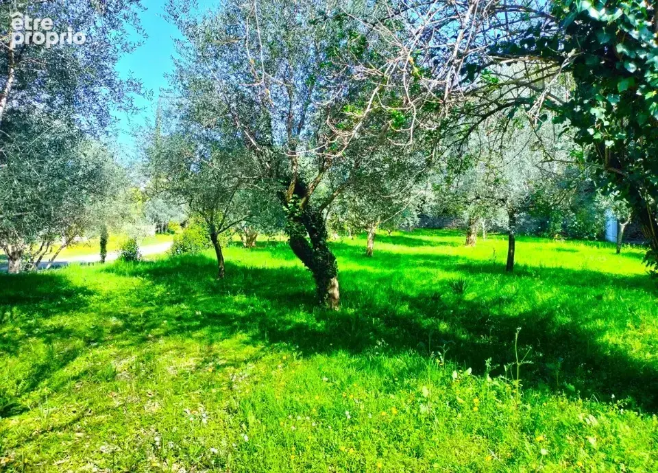 Photo Terrain à Draguignan au prix de 169 000€