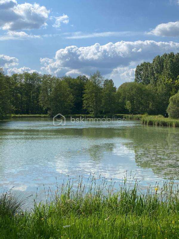 Terrain à SAINT-SAUVEUR-EN-PUISAYE