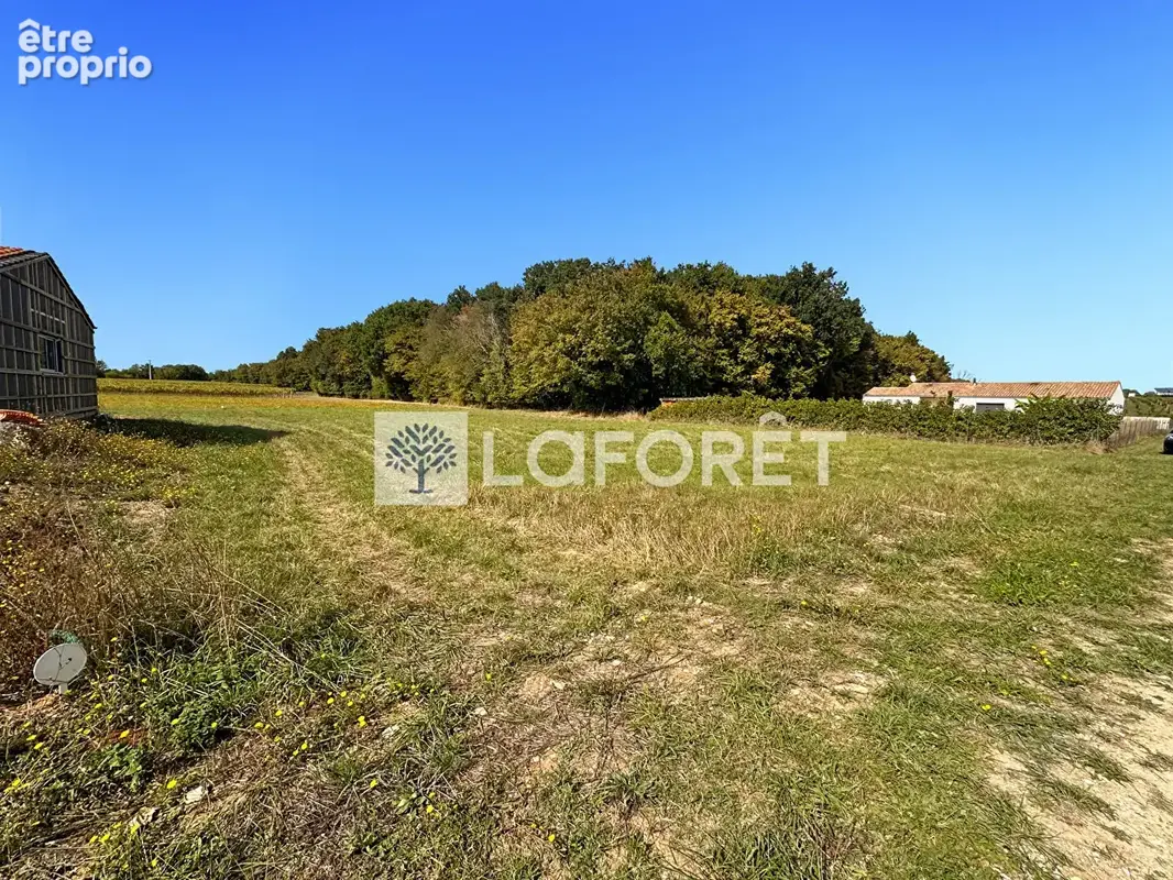 Photo Terrain à Mazerolles au prix de 42 900€