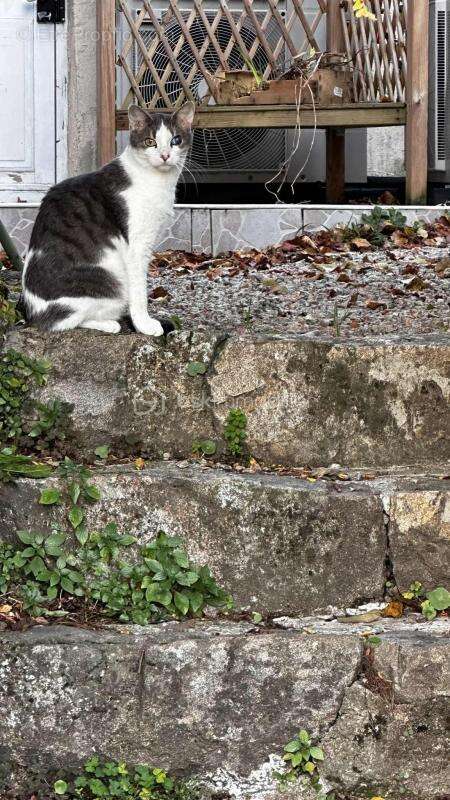 Maison à SAINT-MARCEL-LES-ANNONAY