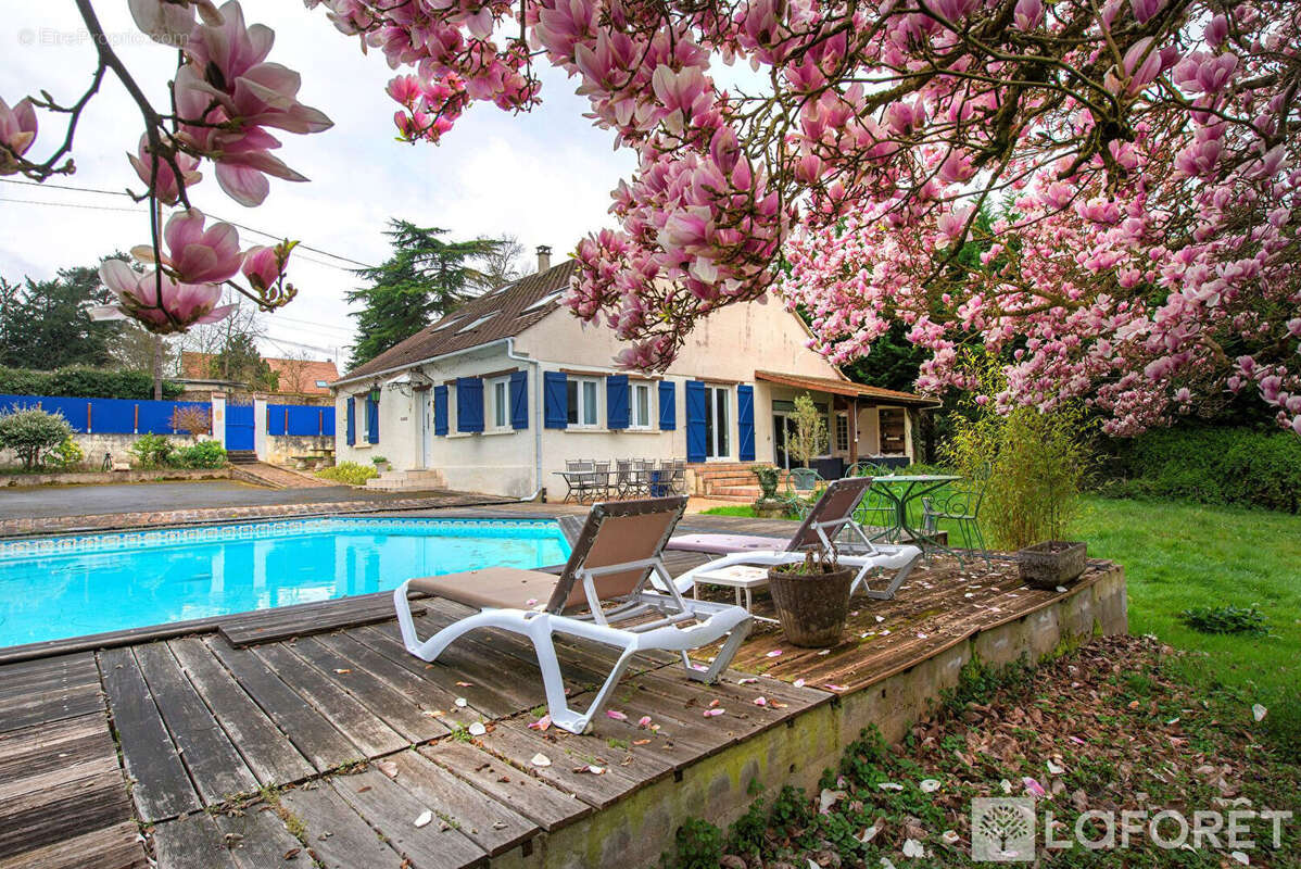 Bois le roi (gare, commerces et foret) - photo 10