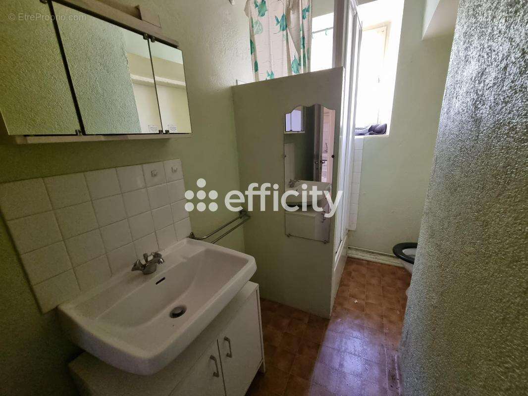 Maison 191 m² à Lorcieres  - photo 22