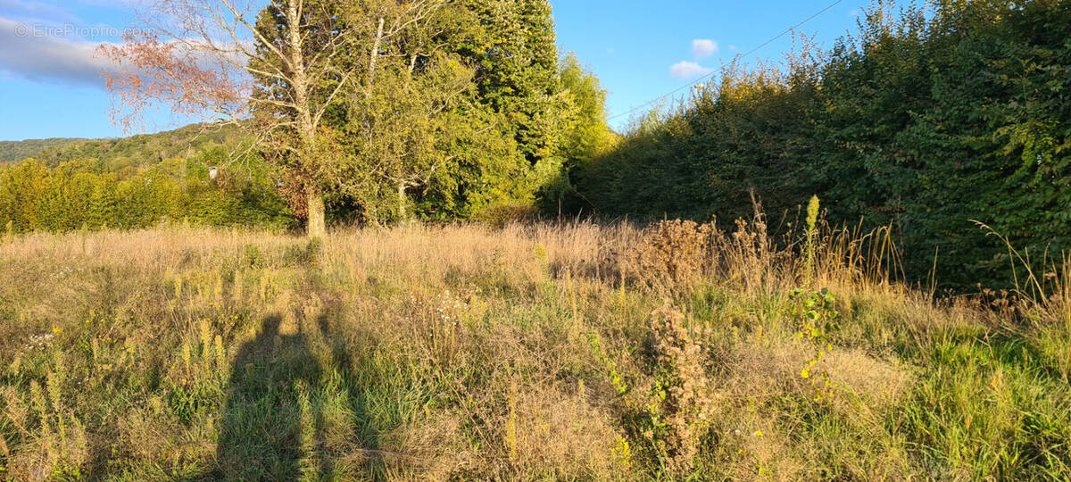 Terrain à JUJURIEUX