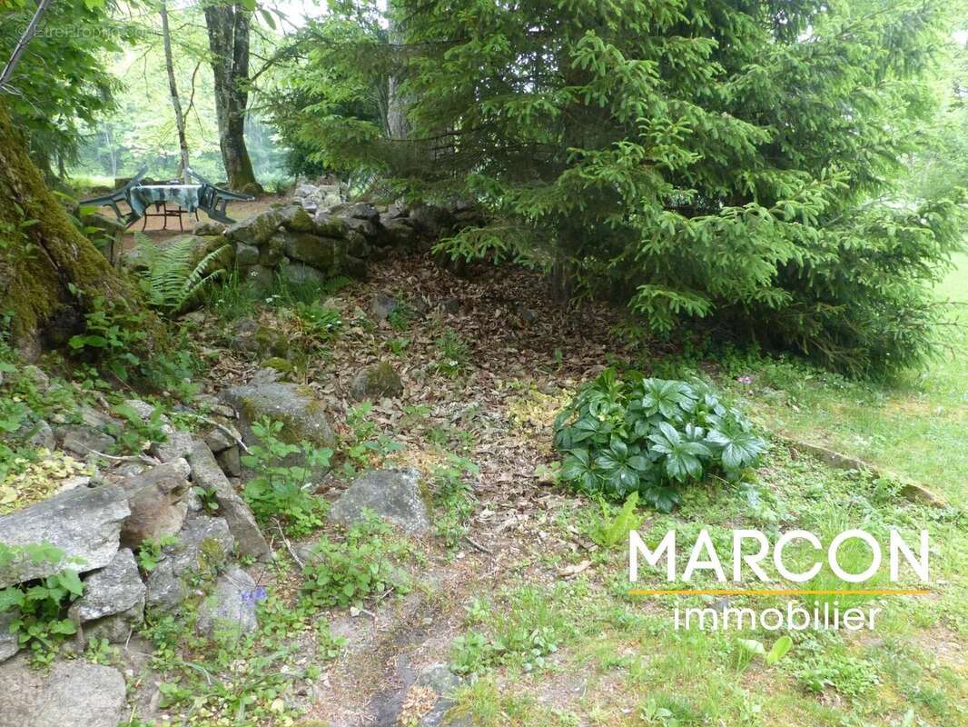 Maison à SAINT-PIERRE-BELLEVUE