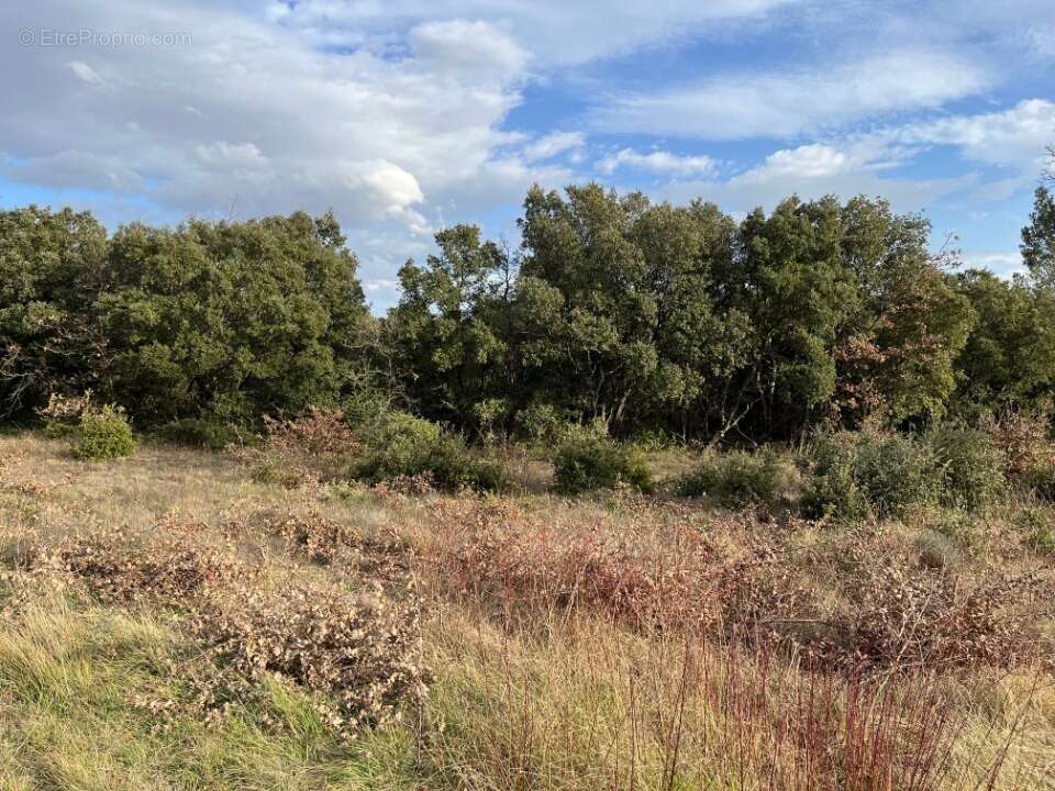 Terrain à GRIGNAN