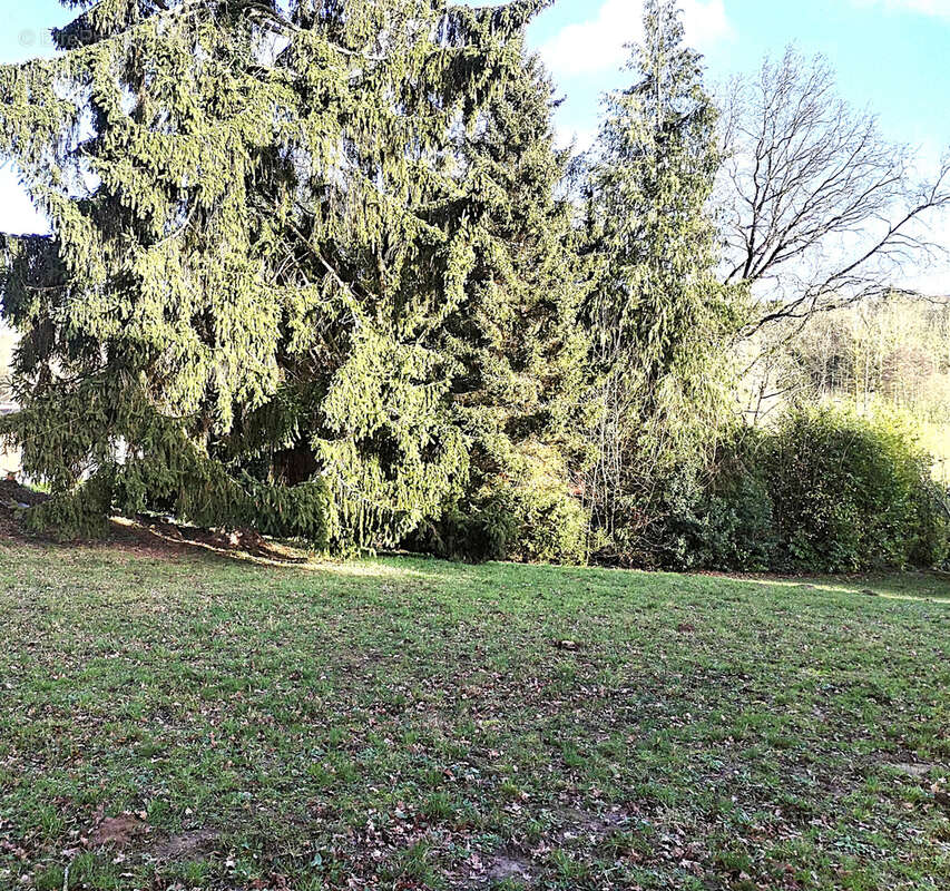 Terrain constructible 500 m2 - photo 4