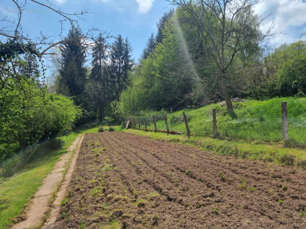 Maison à GRANDVILLERS