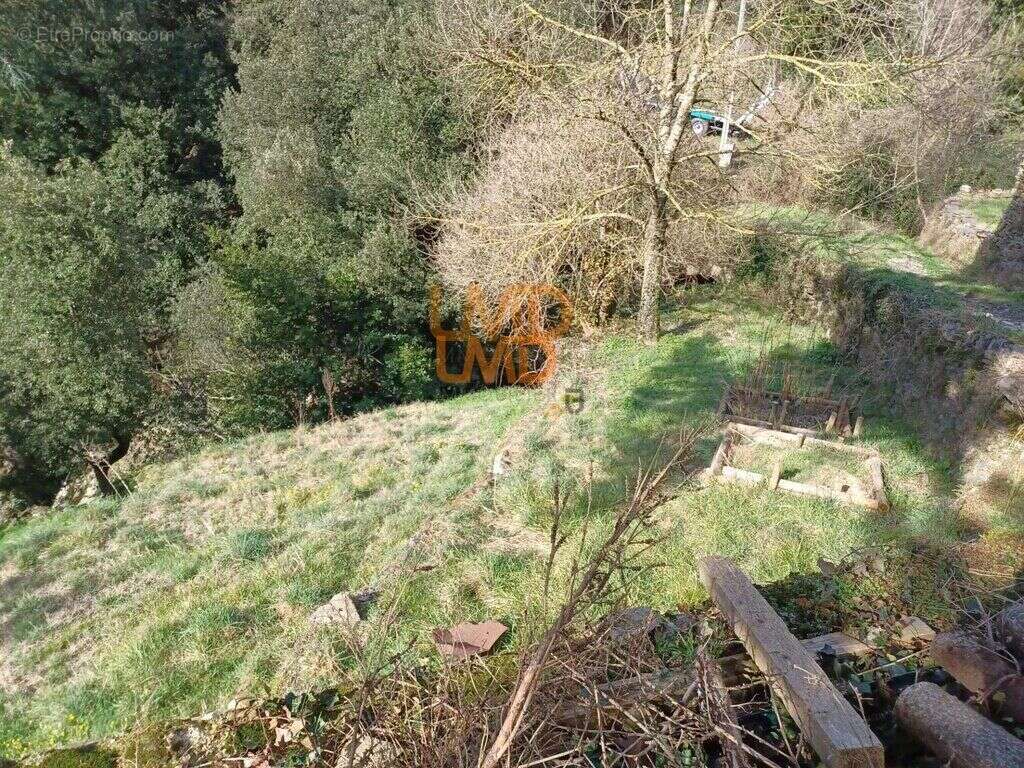 Maison à SAINT-ANDRE-DE-VALBORGNE