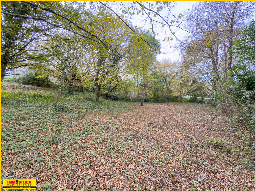 Terrain à CASTRES-GIRONDE