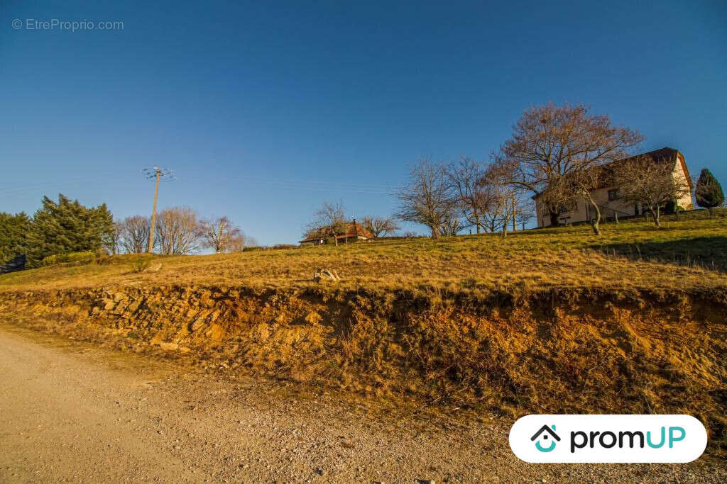 Terrain à SAINTE-FORTUNADE