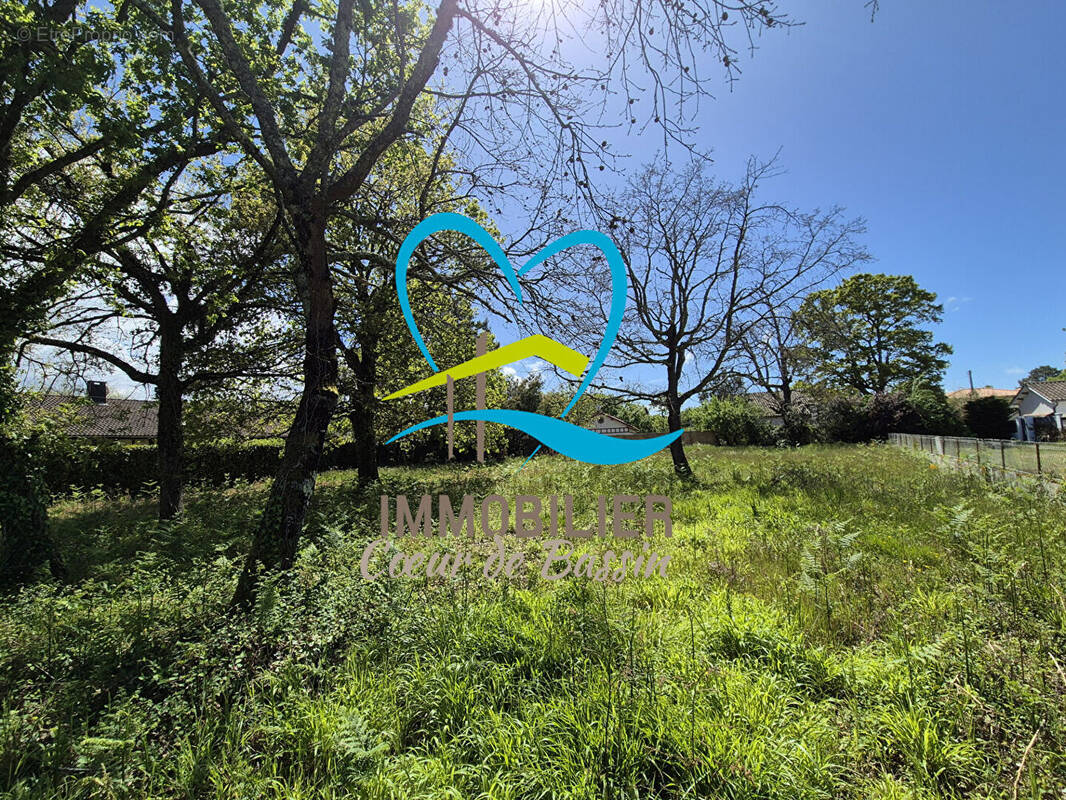 Terrain à LANTON