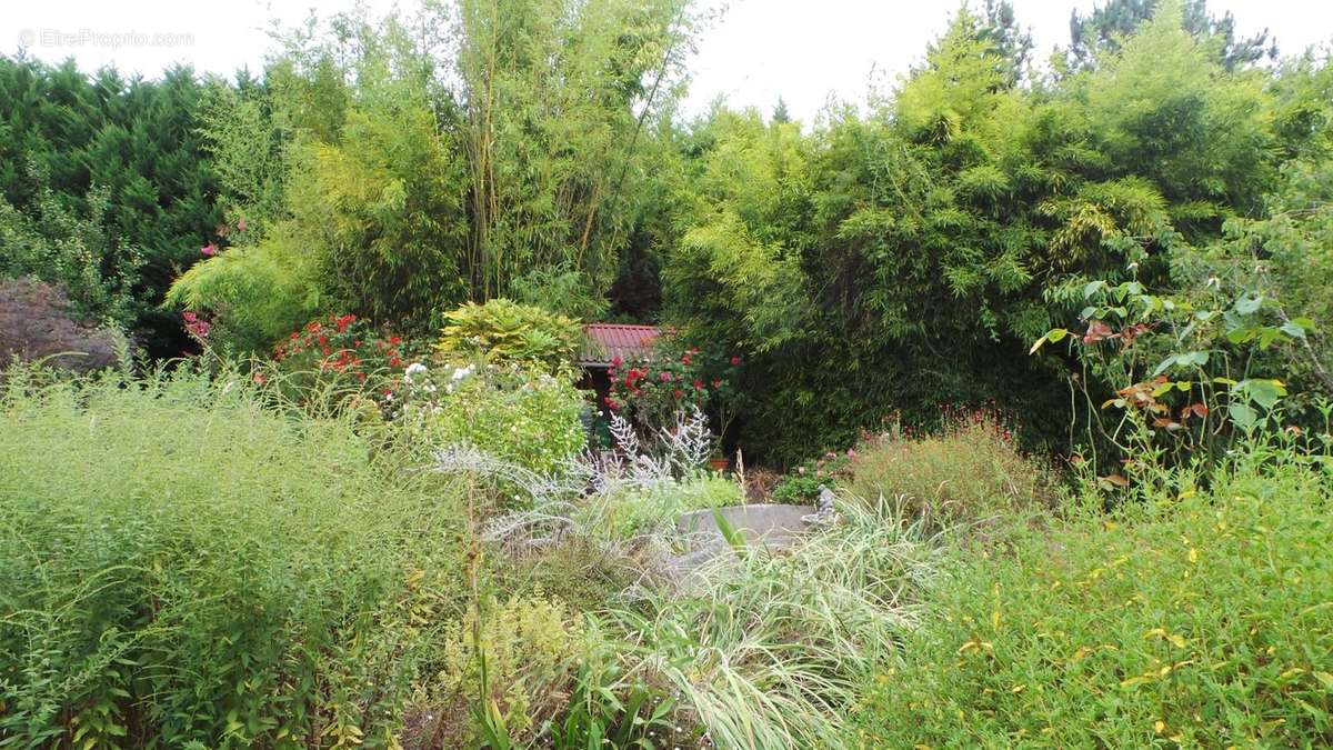 Maison à CASTELNAU-RIVIERE-BASSE