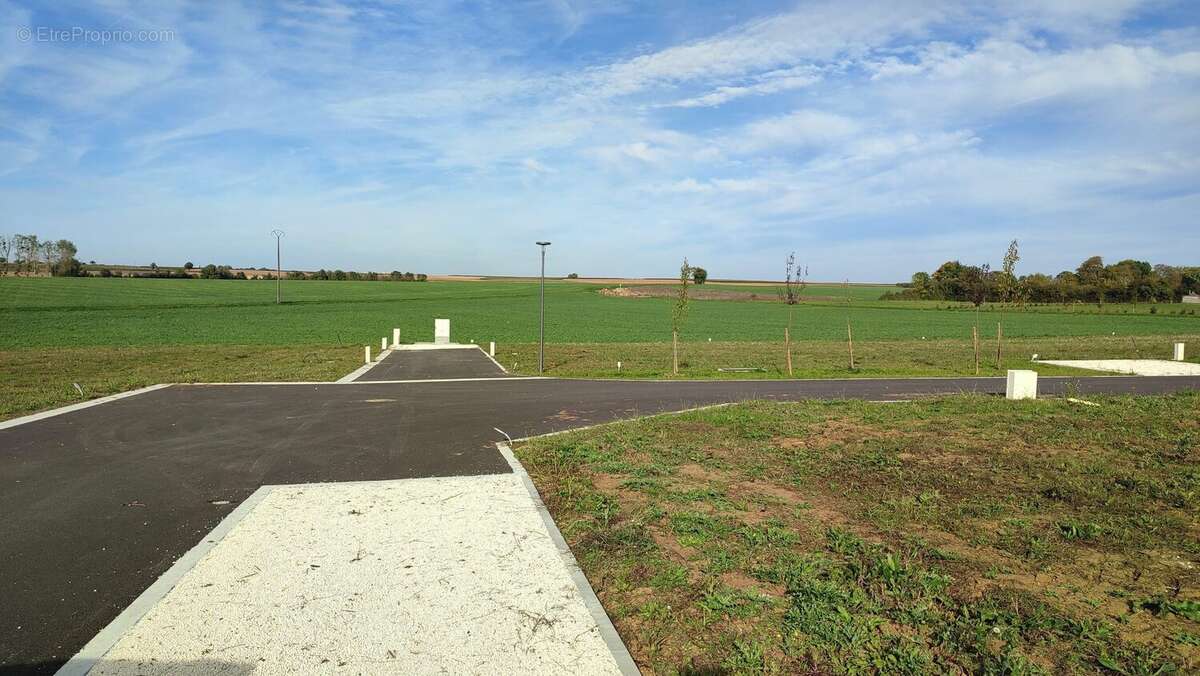 Terrain à ECOYEUX