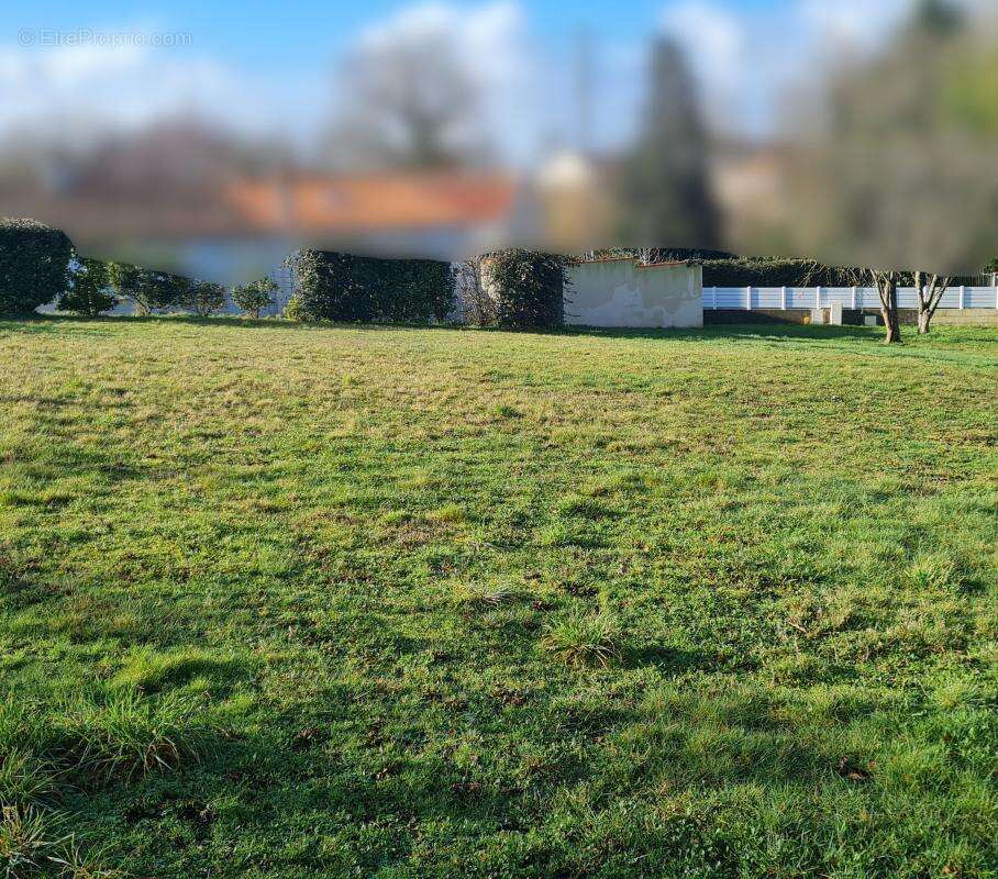 Terrain à LE LANDREAU