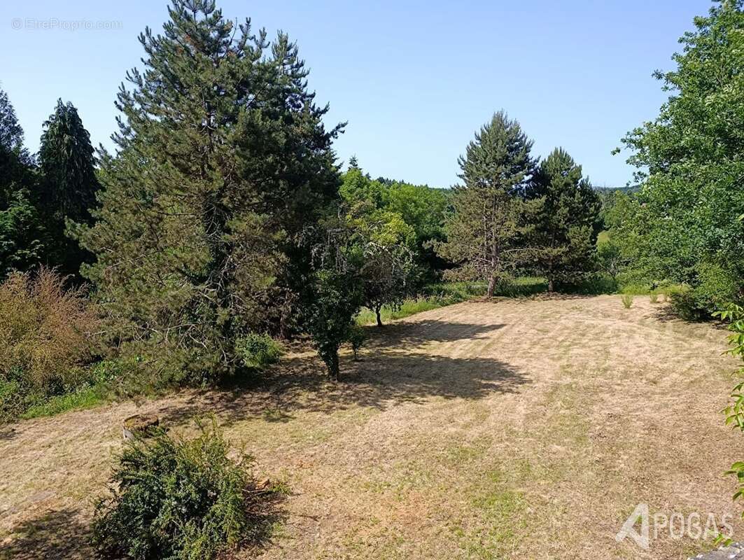 Maison à SAINT-AMAND