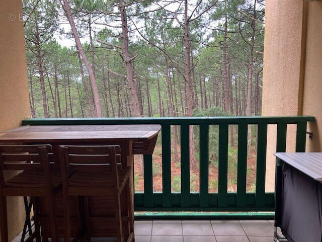 appartement au dernier étage avec terrasse sans vis à vis - photo 2