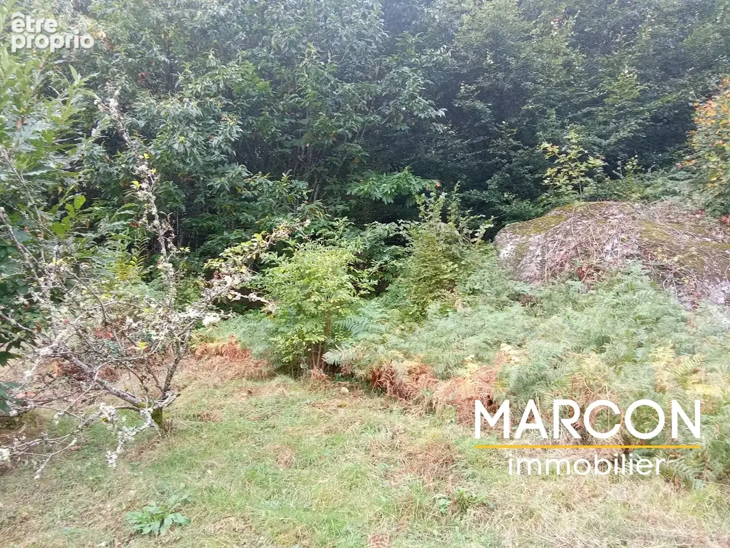 Maison 4 pièces 74 m² à vendre à La Chapelle-Taillefert (23000) - photo 3