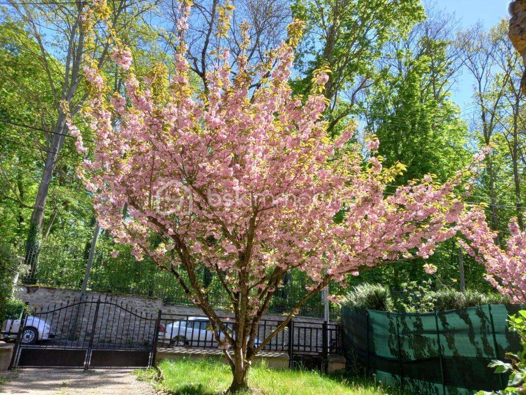 Maison à SAINT-MICHEL-SUR-ORGE