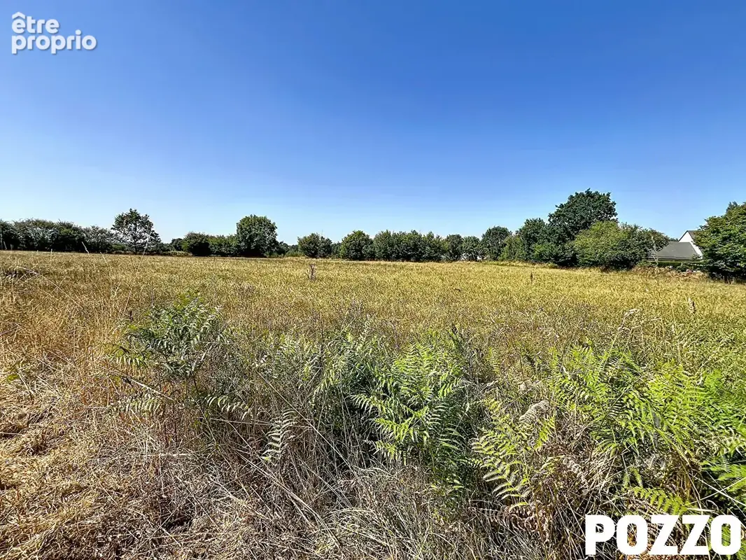 A vendre.  domjean. terrain pour lotissement  de 8 a 10 parcelles. - photo 2