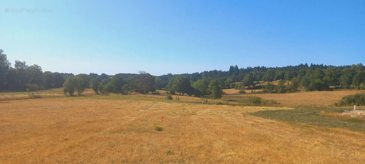TERRAIN + MAISON à LAPTE (Parcelle de 1171m²) REF 767 - photo 3
