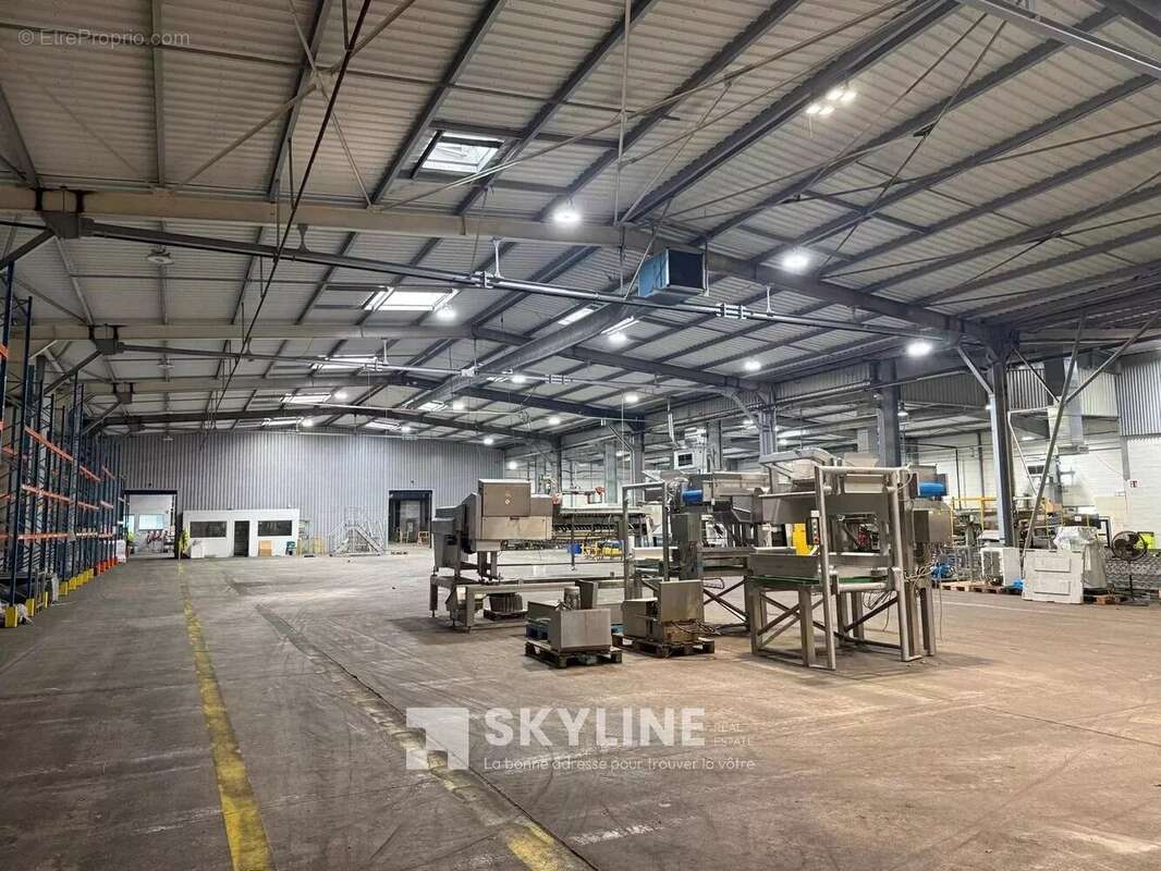 Commerce 23000 m² à Quimper  - photo 2