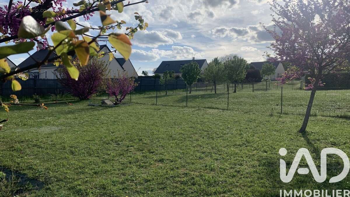 Photo 8 - Maison à SAINTE-MAURE-DE-TOURAINE