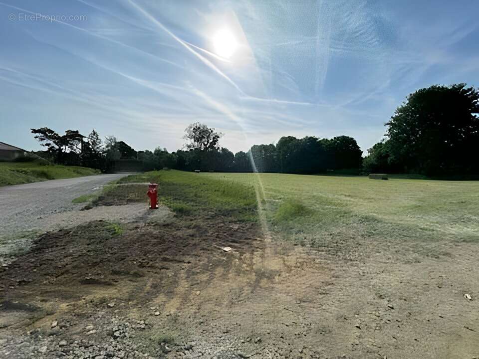 Terrain à MANCIEULLES