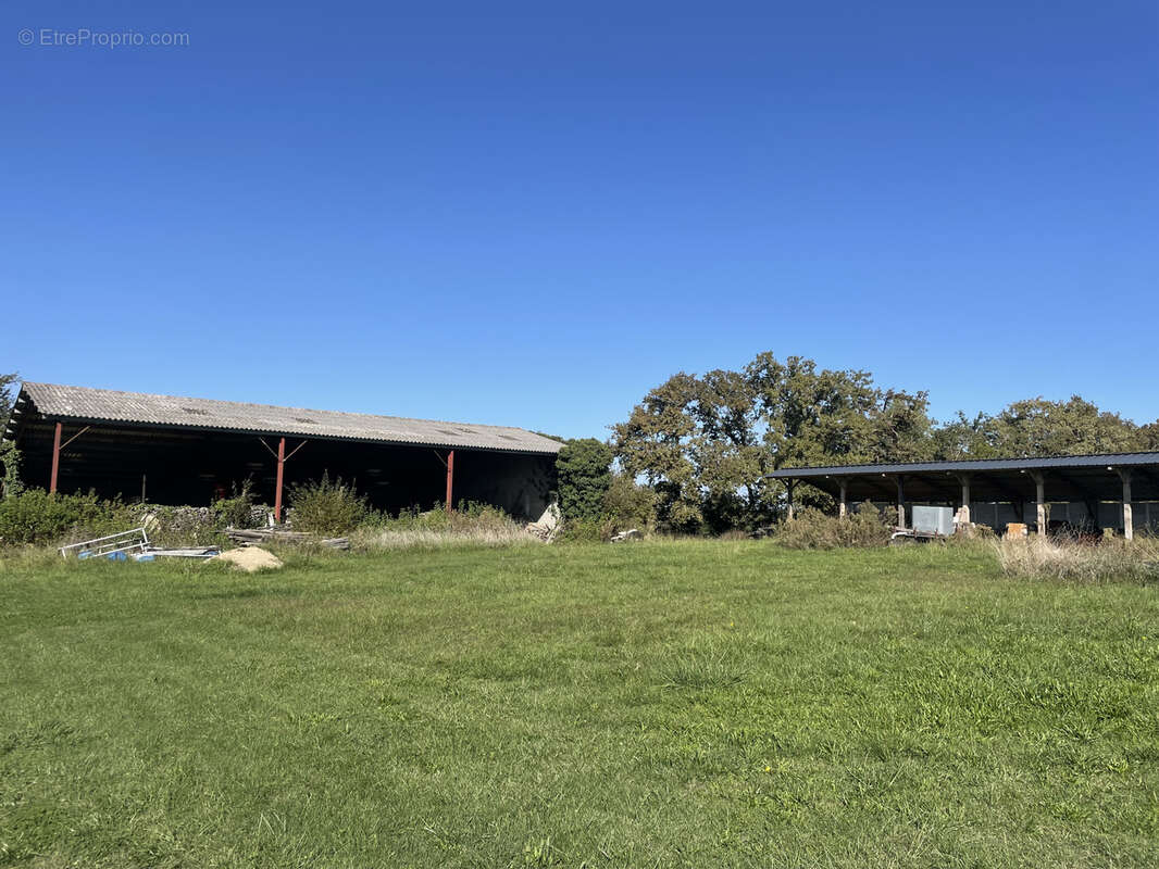 Maison à LABASTIDE-D'ARMAGNAC