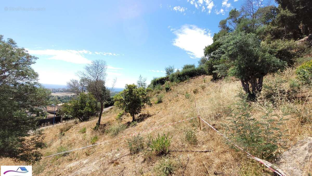 Terrain à MANDELIEU-LA-NAPOULE