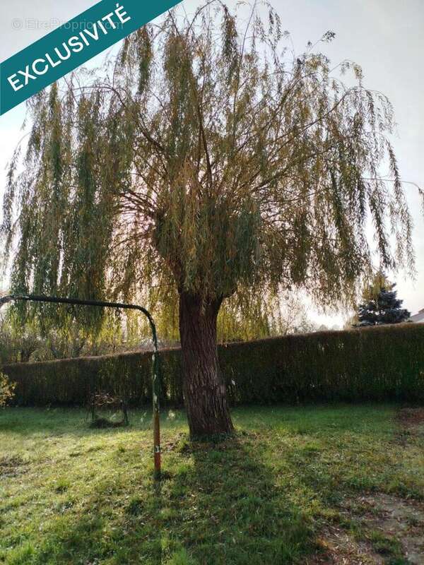 Photo 2 - Maison à SILLEGNY