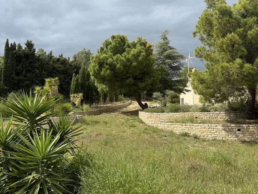 Maison à NARBONNE