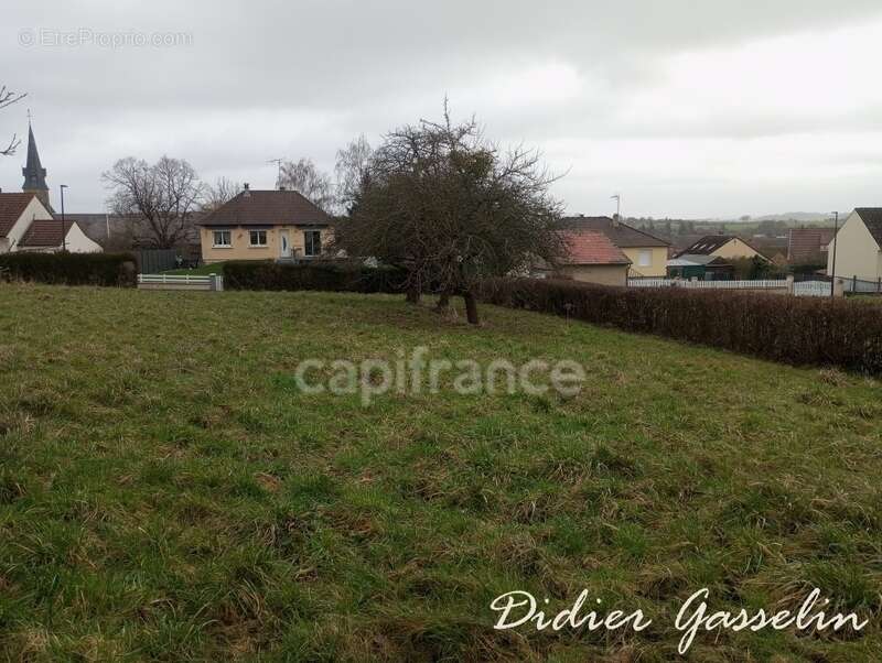 Terrain à vendre  saint hilaire sur erre (61) - photo 5