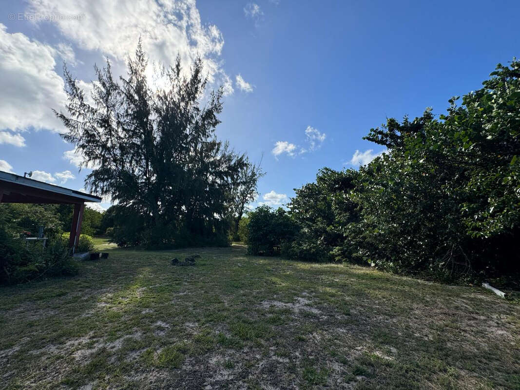 Terrain à SAINT-MARTIN
