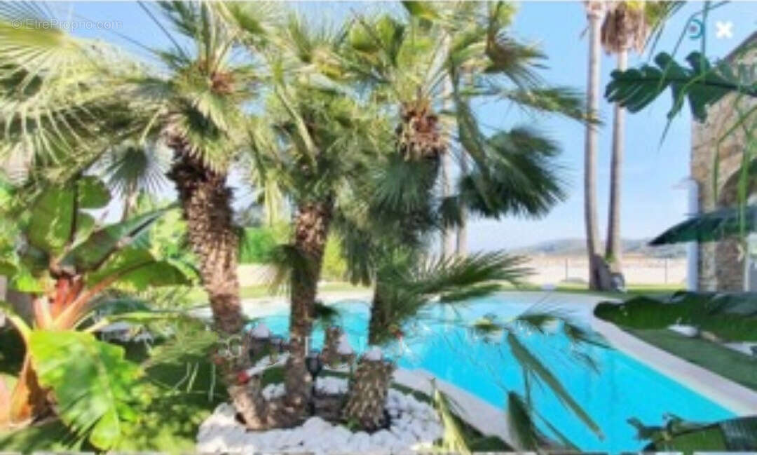 Limite mandelieu ville t4/t5 de 150m2 vue mer panoramique jardin entourant jacuzzi garage - photo 2