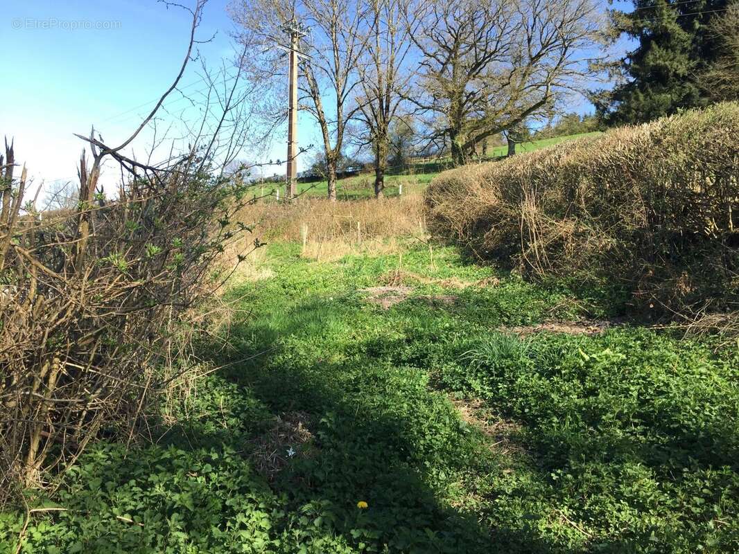 Maison à AIGUEPERSE