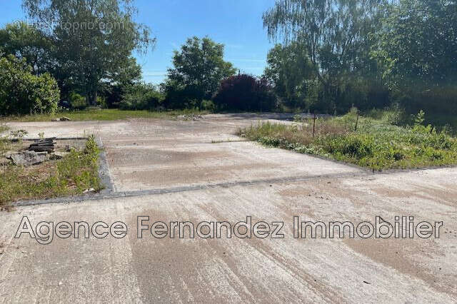 Terrain 4917 m² à Bourg-Le-Comte  - photo 9