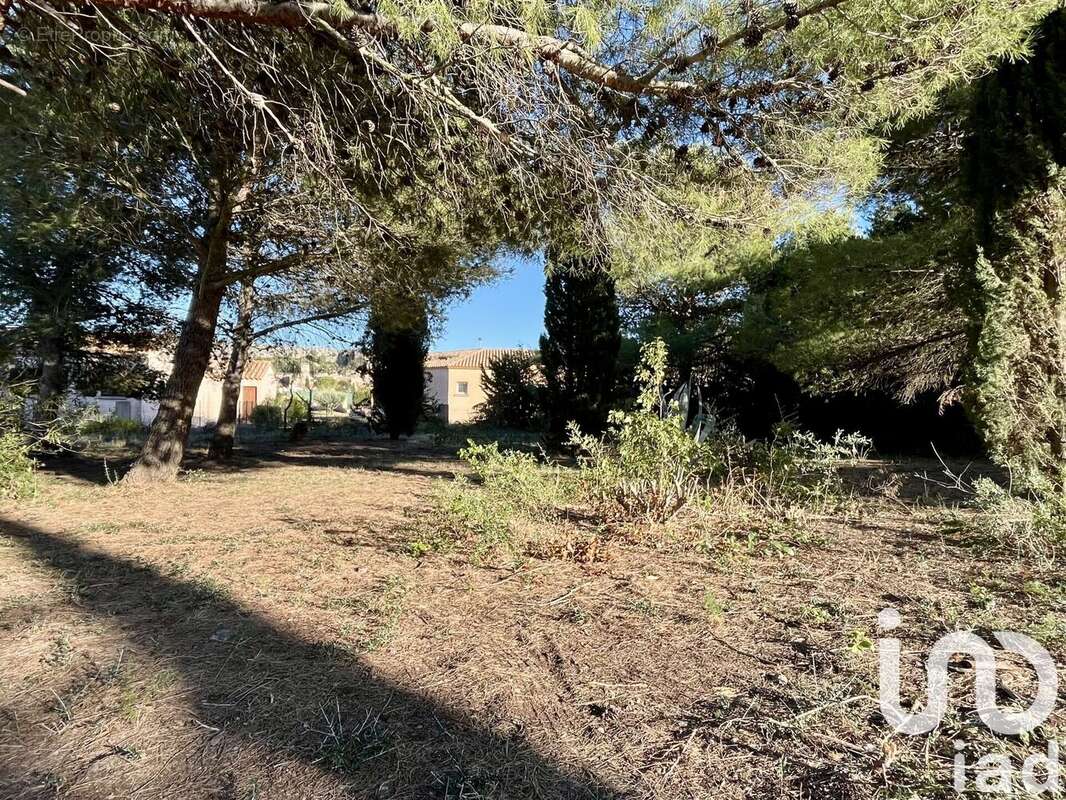 Photo 8 - Terrain à ROQUEFORT-DES-CORBIERES