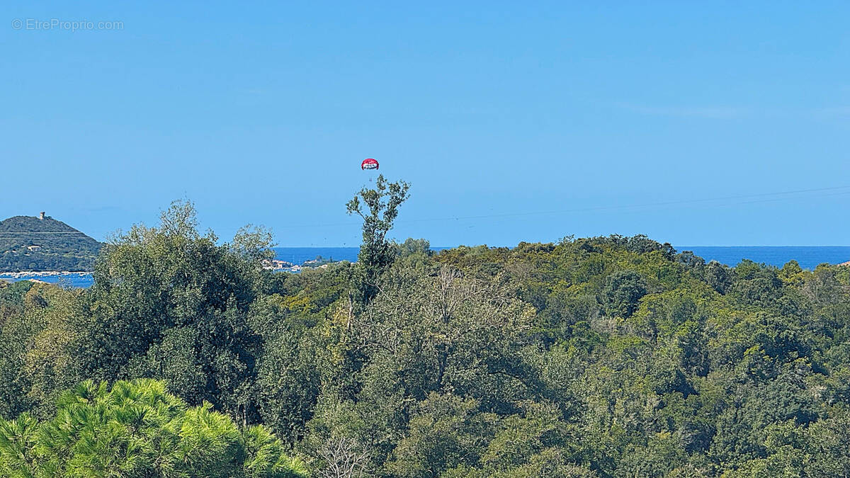 Appartement à PIETROSELLA