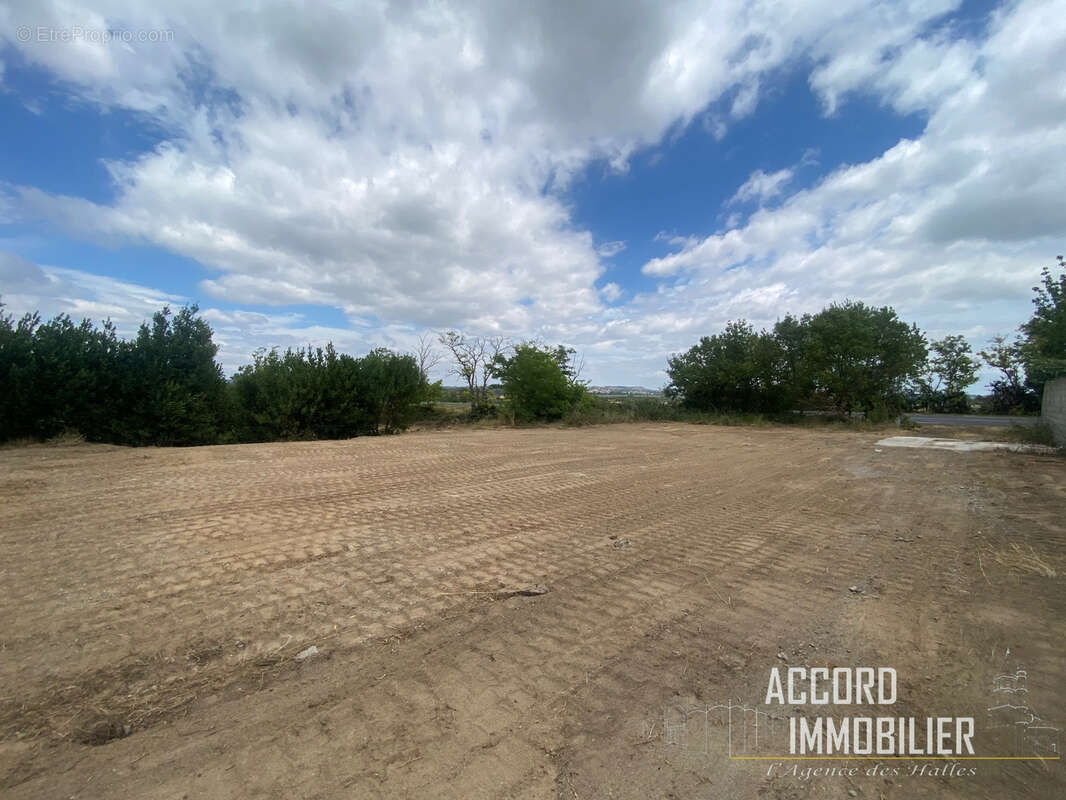 886m2 de terrain constructible a montels !!! - photo 4
