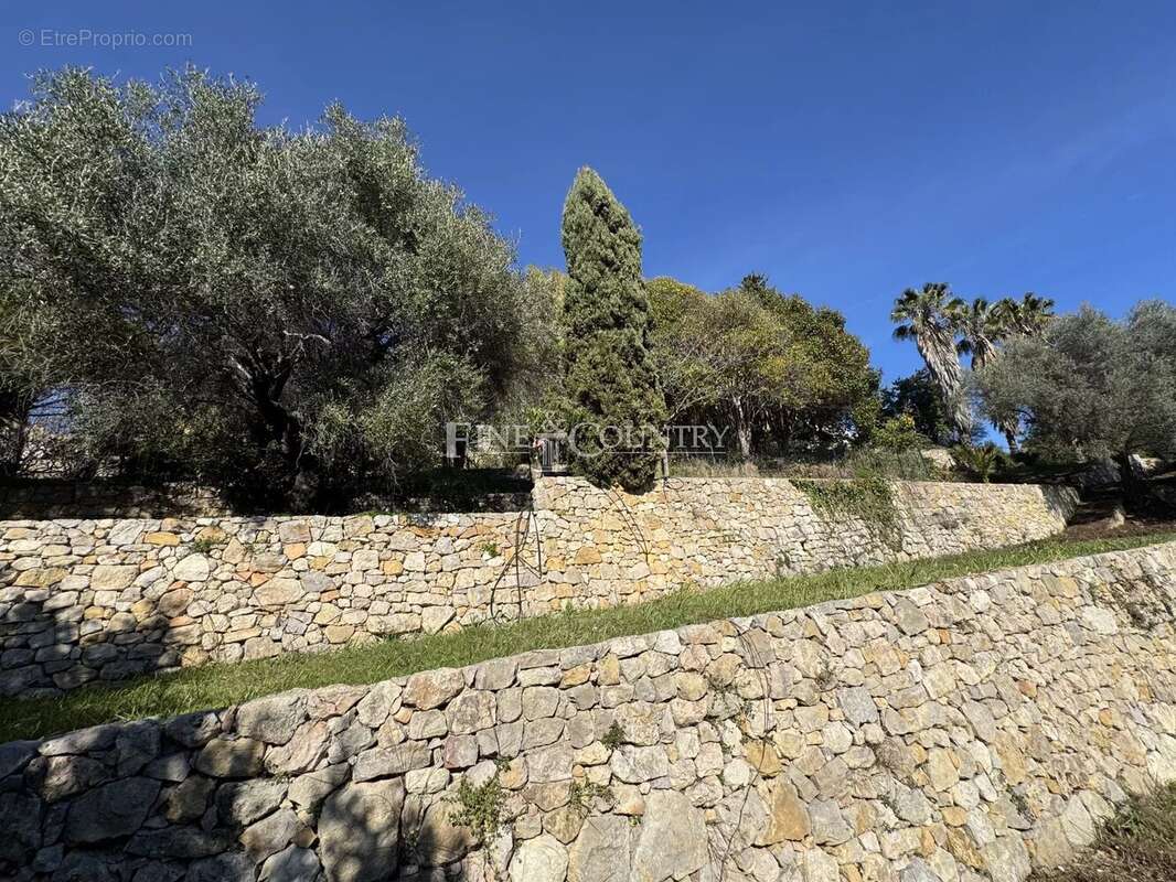 Terrain à VALLAURIS